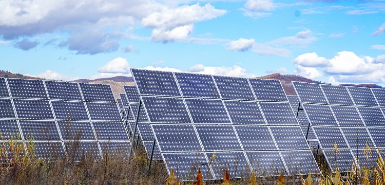 紡織品防螨檢測-專業(yè)除螨防螨檢測機(jī)構(gòu)