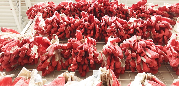 消毒效果檢測合格報(bào)告書有什么內(nèi)容?洗碗機(jī)有沒有除菌效果 