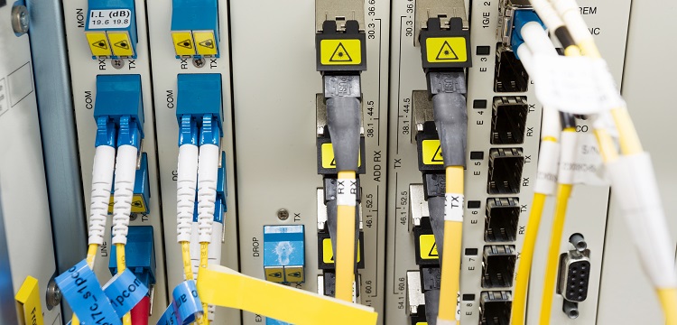 深圳大學(xué)公衛(wèi)考研公共衛(wèi)生考研報(bào)考要求?美國(guó)政府問責(zé)局報(bào)告稱「 美公共衛(wèi)生部門疫情應(yīng)對(duì)存在『 持續(xù)缺陷 』」，該缺陷是什么  健明迪檢測(cè)