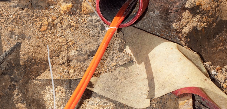 公共衛(wèi)生檢測項(xiàng)目及標(biāo)準(zhǔn)有哪些？