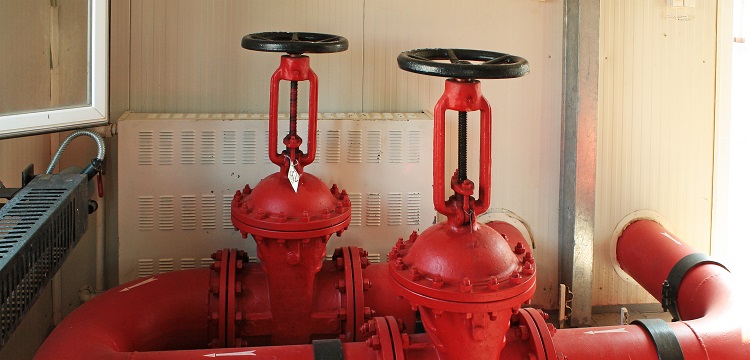 微生物安全健康網，微生物檢測如何規范操作 ?在微生物檢測實踐中，什么時候需要檢測參考菌群 參考菌群的檢測有何意義 ?健明迪