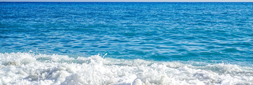 近岸海域水質監測