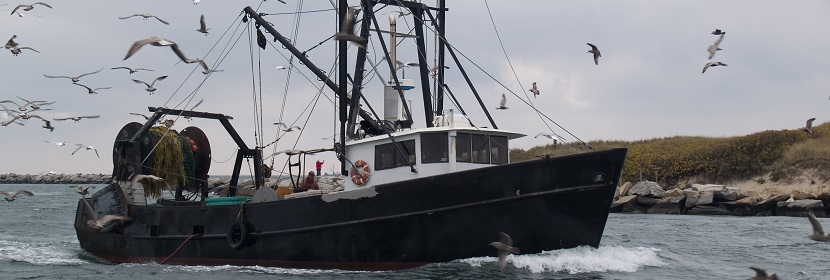 船舶設備高溫試驗