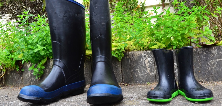 慢應(yīng)變速率試驗