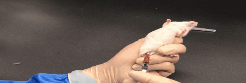 植入后局部反應(yīng)試驗