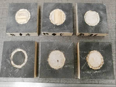 復(fù)硝酚鈉檢測(cè)