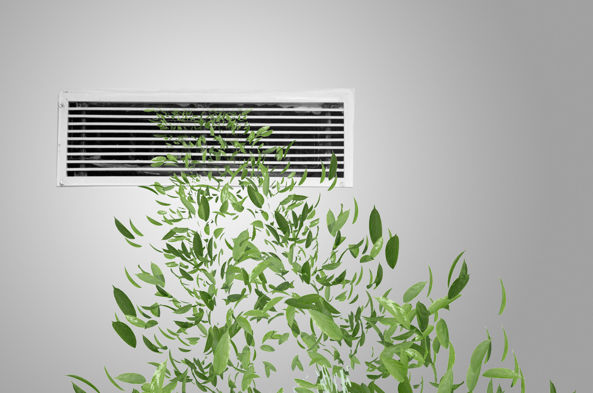 電鑄板檢測(cè)