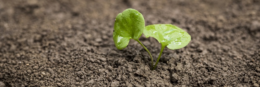 農(nóng)藥持久起泡性