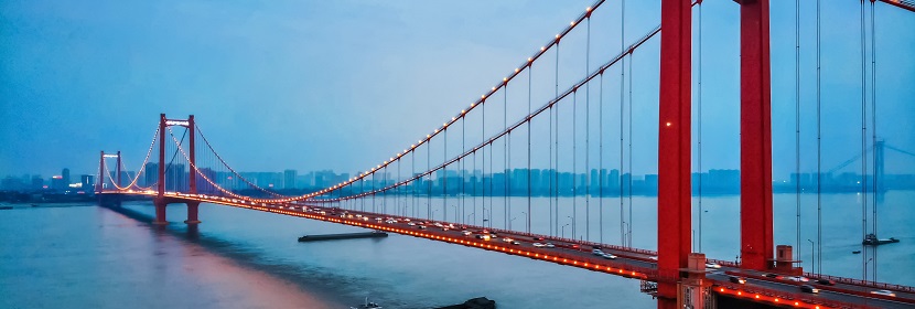 黃豆芽檢測(cè)