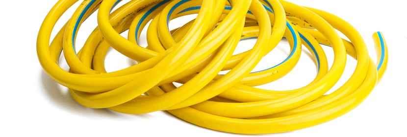 維甲酸誘導(dǎo)第一、二鰓弓綜合征大鼠模型