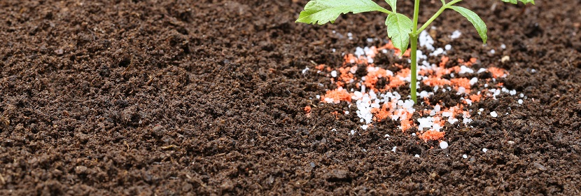 腐植酸生物有機(jī)肥檢測