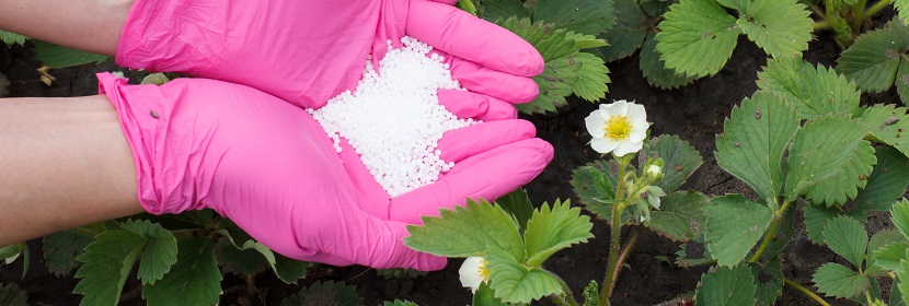 腐植酸鈉檢測
