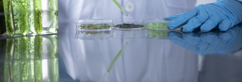 離合器用橡膠氣胎檢測