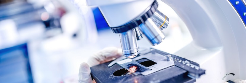 乙酸乙酯檢測(cè)