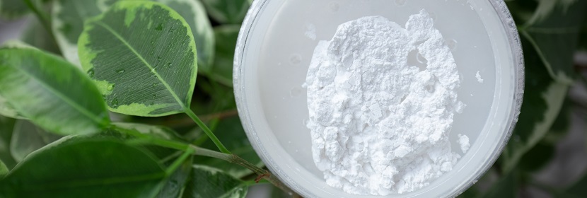 觸媒用氧化鋅檢測